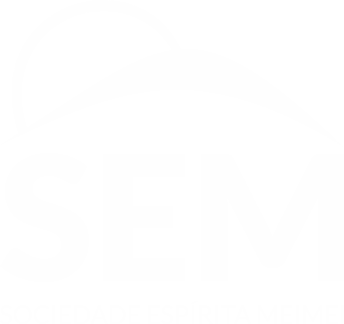 Logo da Sociedade Espírita Meimei